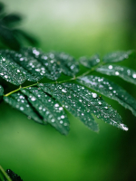 HÀNH TRÌNH CỦA GIỌT NƯỚC