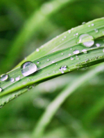 SẤP MÌNH ĐẢNH LỄ